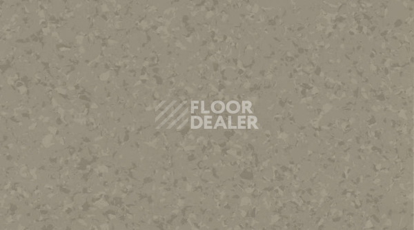 Линолеум Gerflor Mipolam Symbioz 6043 WOOD фото 1 | FLOORDEALER